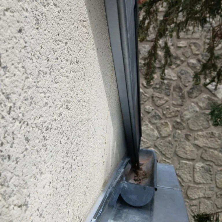 Descente d’eaux pluviales en zinc raccordée à un dauphin en pied de mur